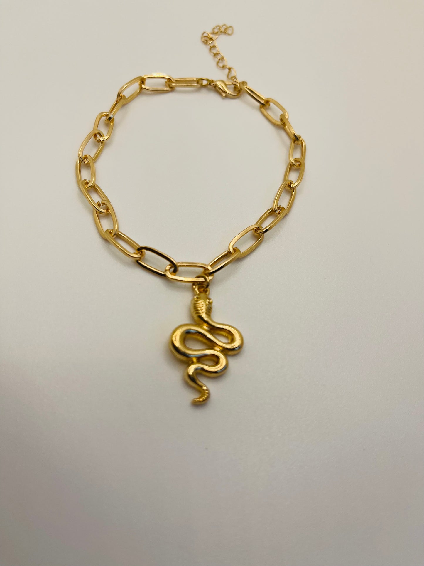 5mm Chain w/ Snake anklet