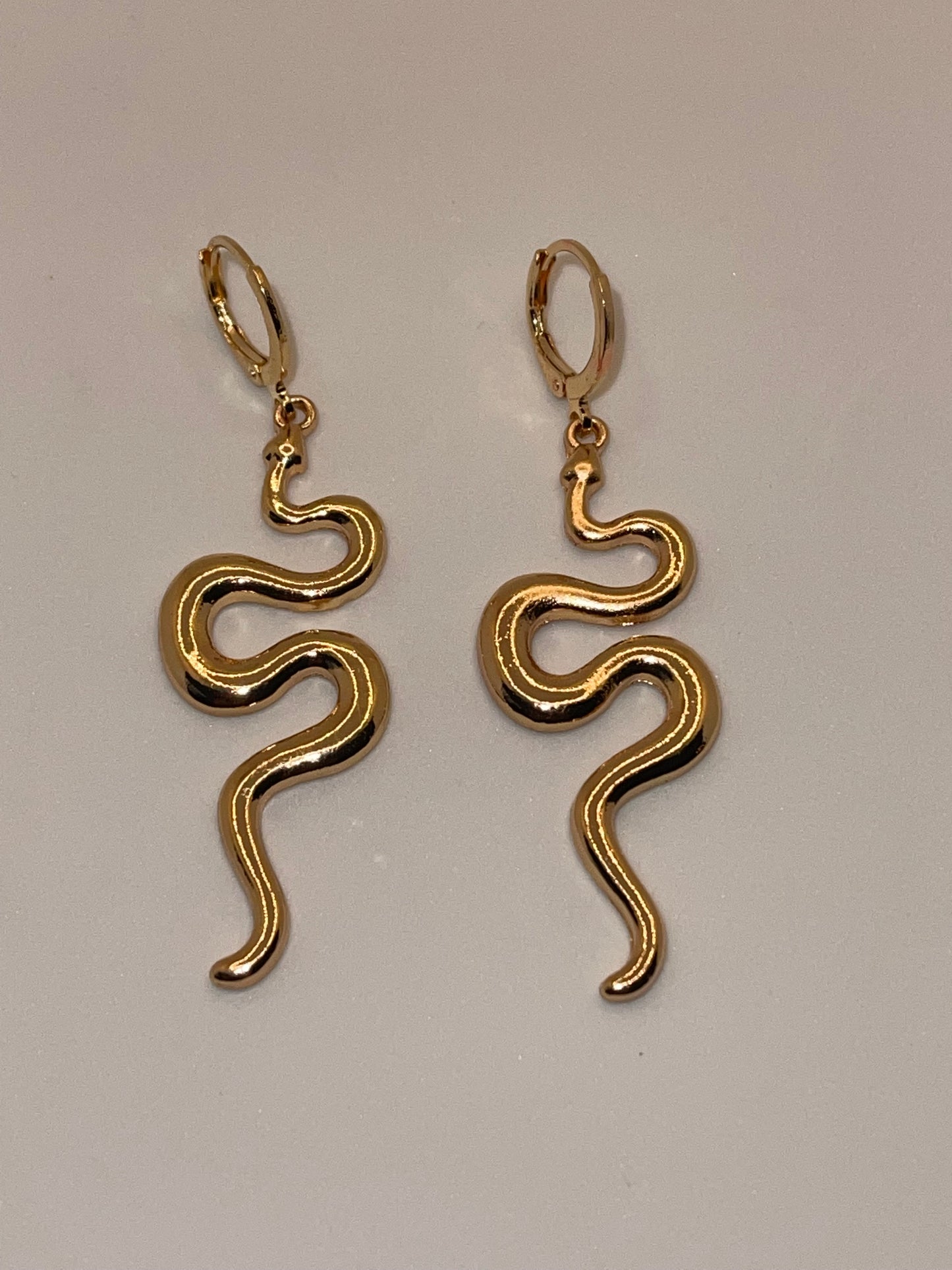 Snake style earrings